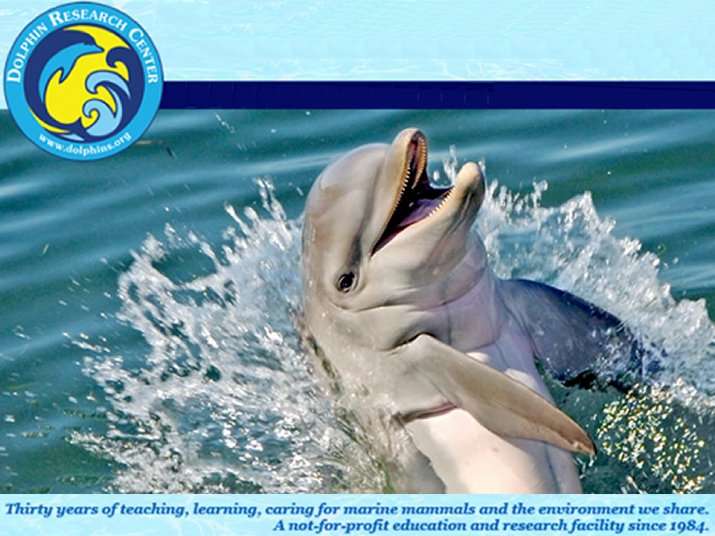 Dolphin Research Center